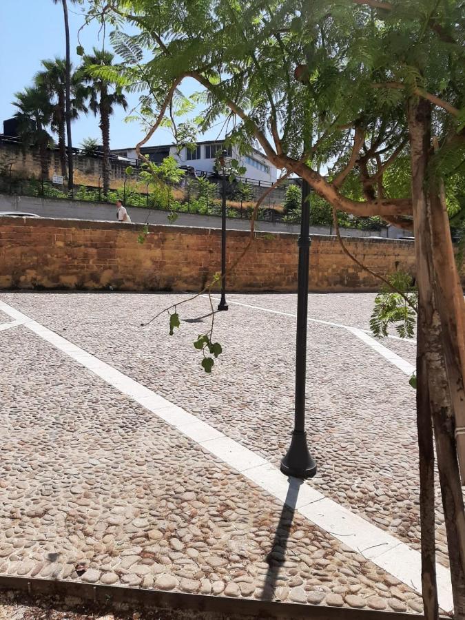 شقة A Due Passi Dalla Cattedrale باليرمو المظهر الخارجي الصورة